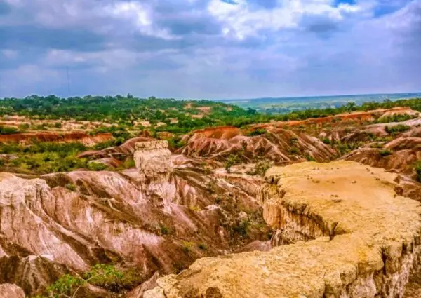 Restore ecosystems