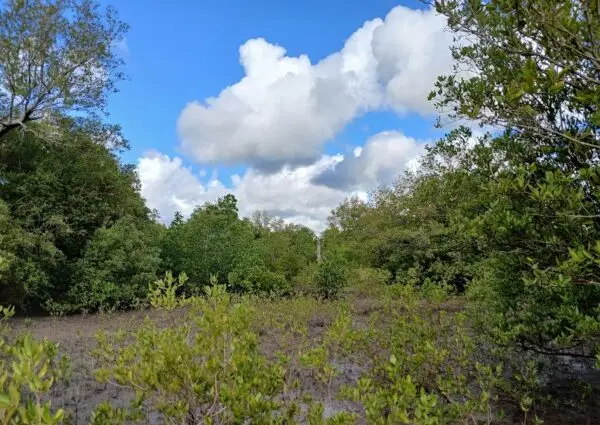Enhance climate resilience