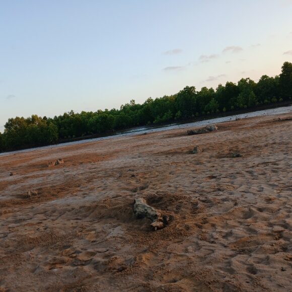 Guardians of Nature & People
